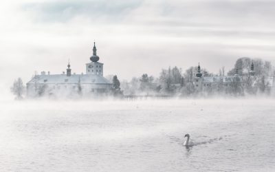 L’analyse juridique des contes de fées