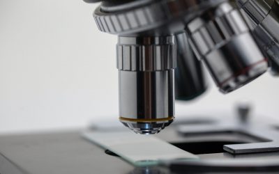 L’ARN messager, une nouvelle voie en médecine